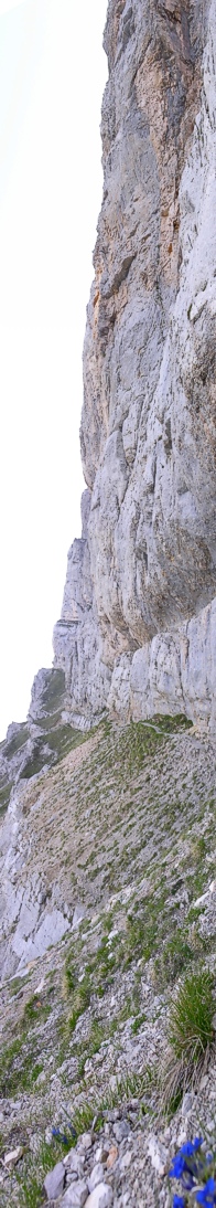 Cliff of the Ibex